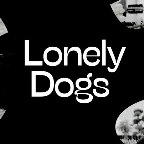 Lonely Dogs